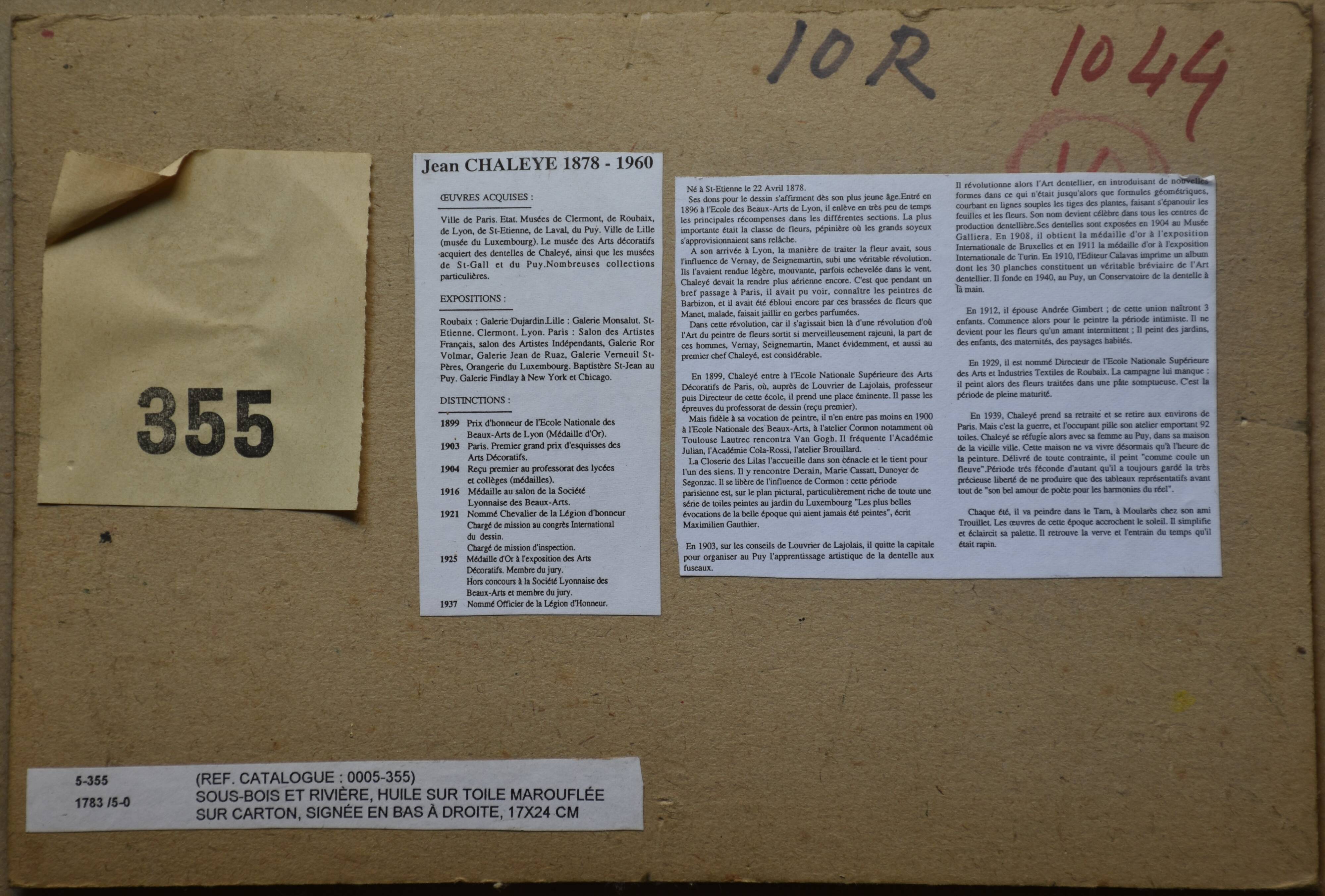 Jean Chaleyé, Undergrowth on the banks of the Loire (circa 1910)