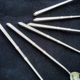 Box of 6 ice cream spoons, mazagran in silver metal "Russian style"