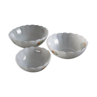 Salad bowls in Arcopal