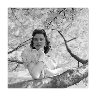Photo argentique papier baryté noir et blanc ilford 310g 1910 50x50cm PINUP  Tirage récent