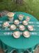 Coffee service consisting of 18 pieces, in white porcelain with gold decoration