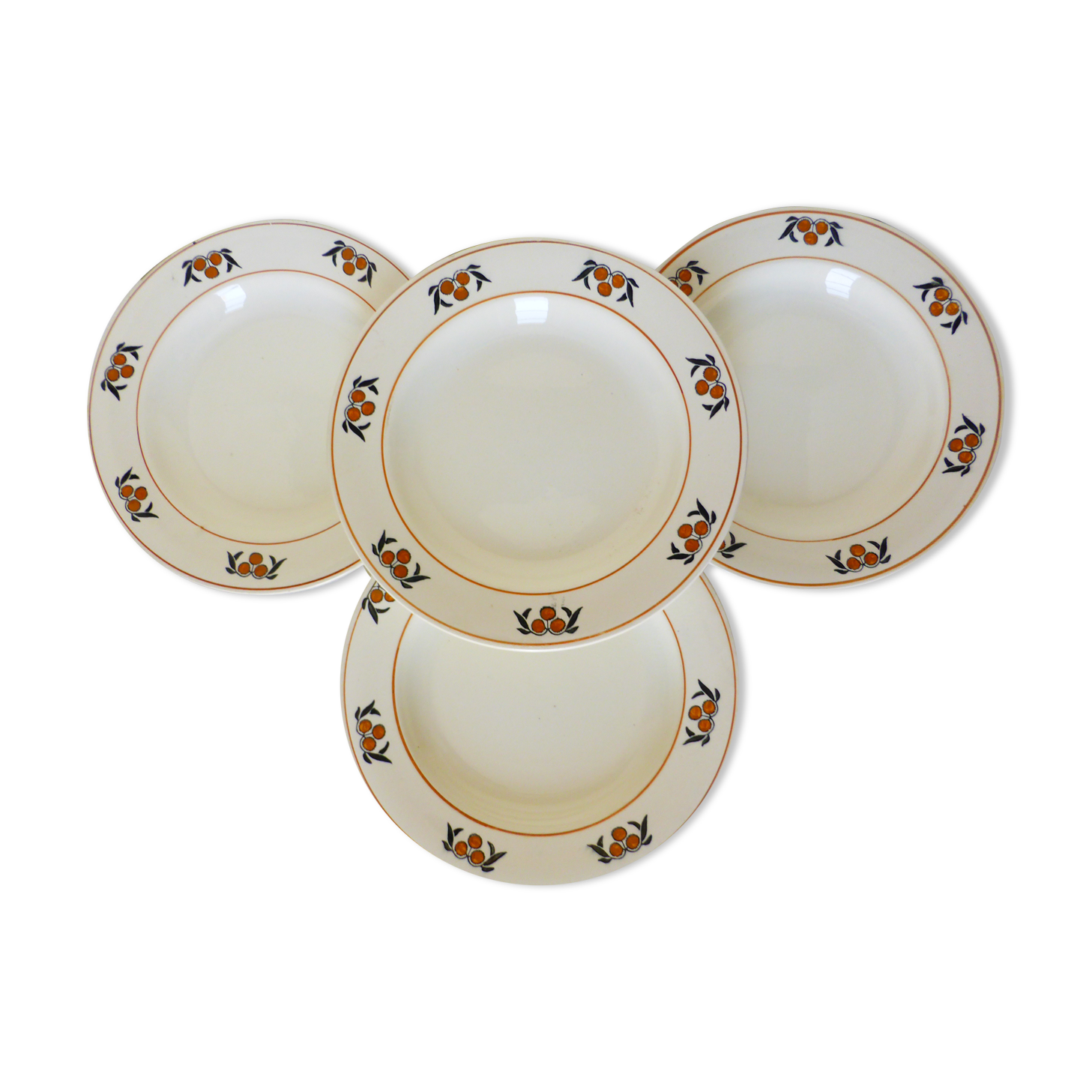 6 hollow plates in iron earth of the Salins model Mimosa 210745