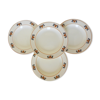 6 hollow plates in iron earth of the Salins model Mimosa 210745