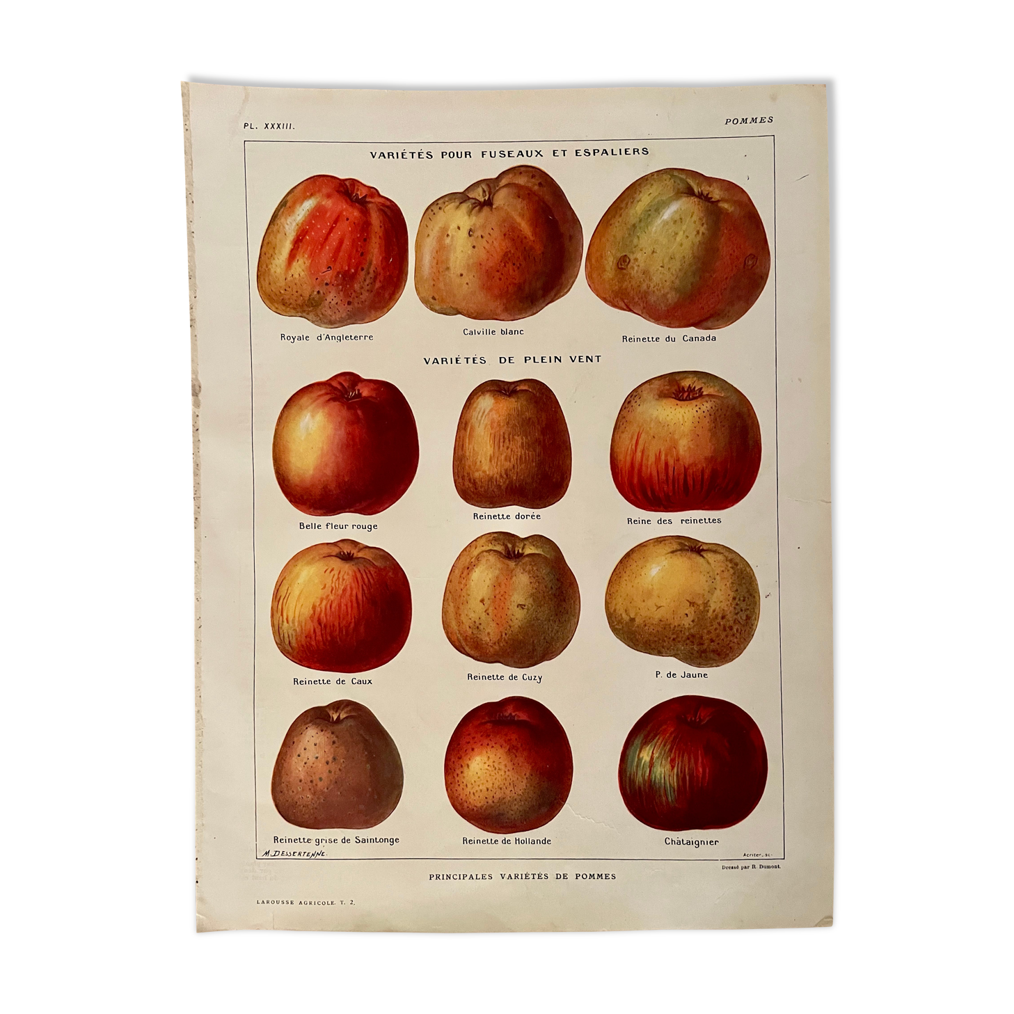 Lithograph on apples from 1921