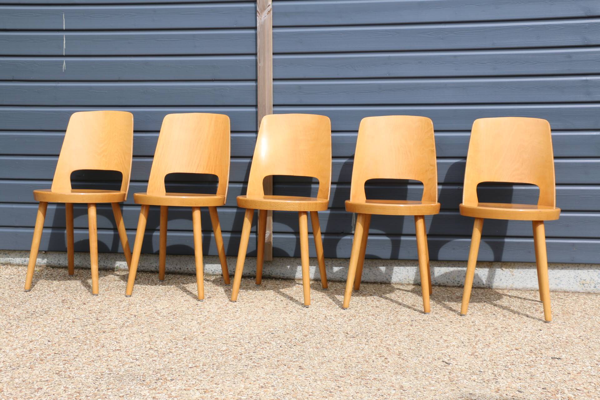 5 BAUMANN “MONDOR” light beech chairs