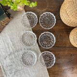 6 coasters with holder