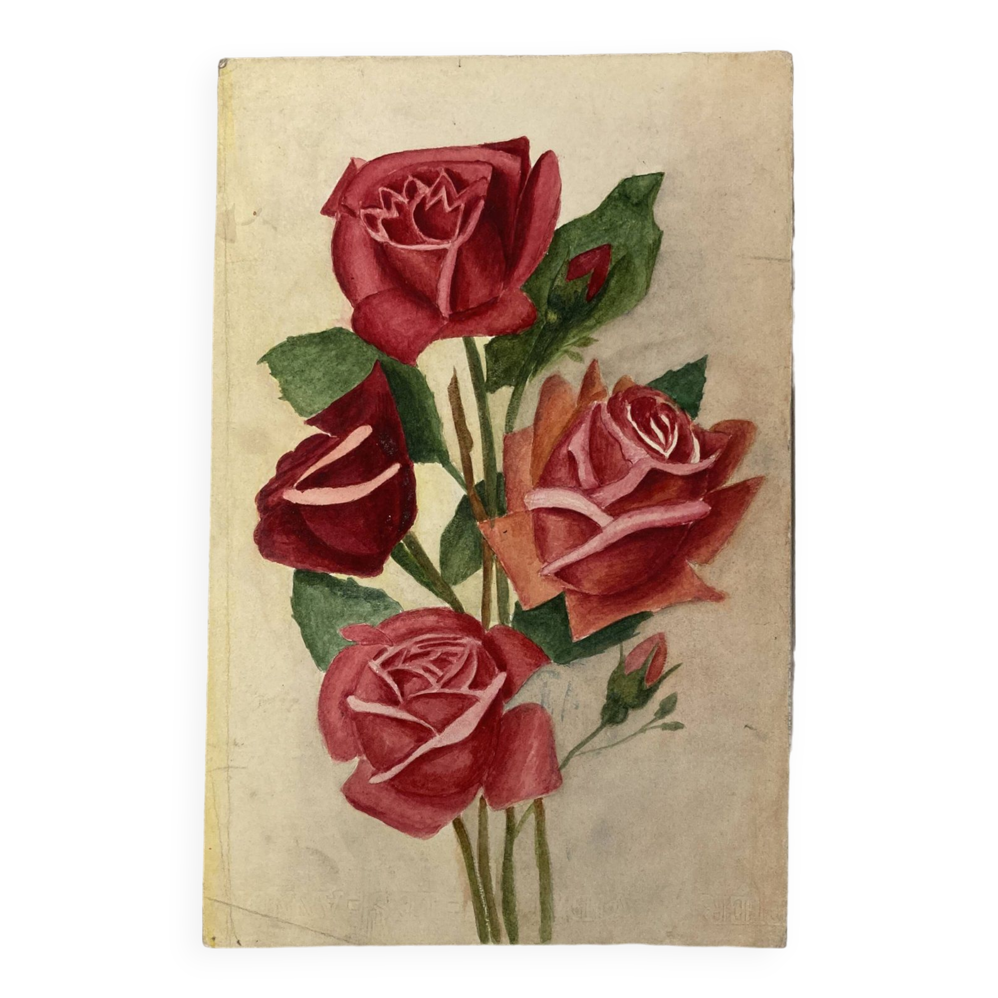 Old rose watercolor