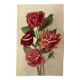Old rose watercolor