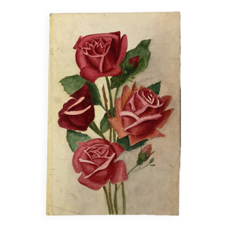 Old rose watercolor