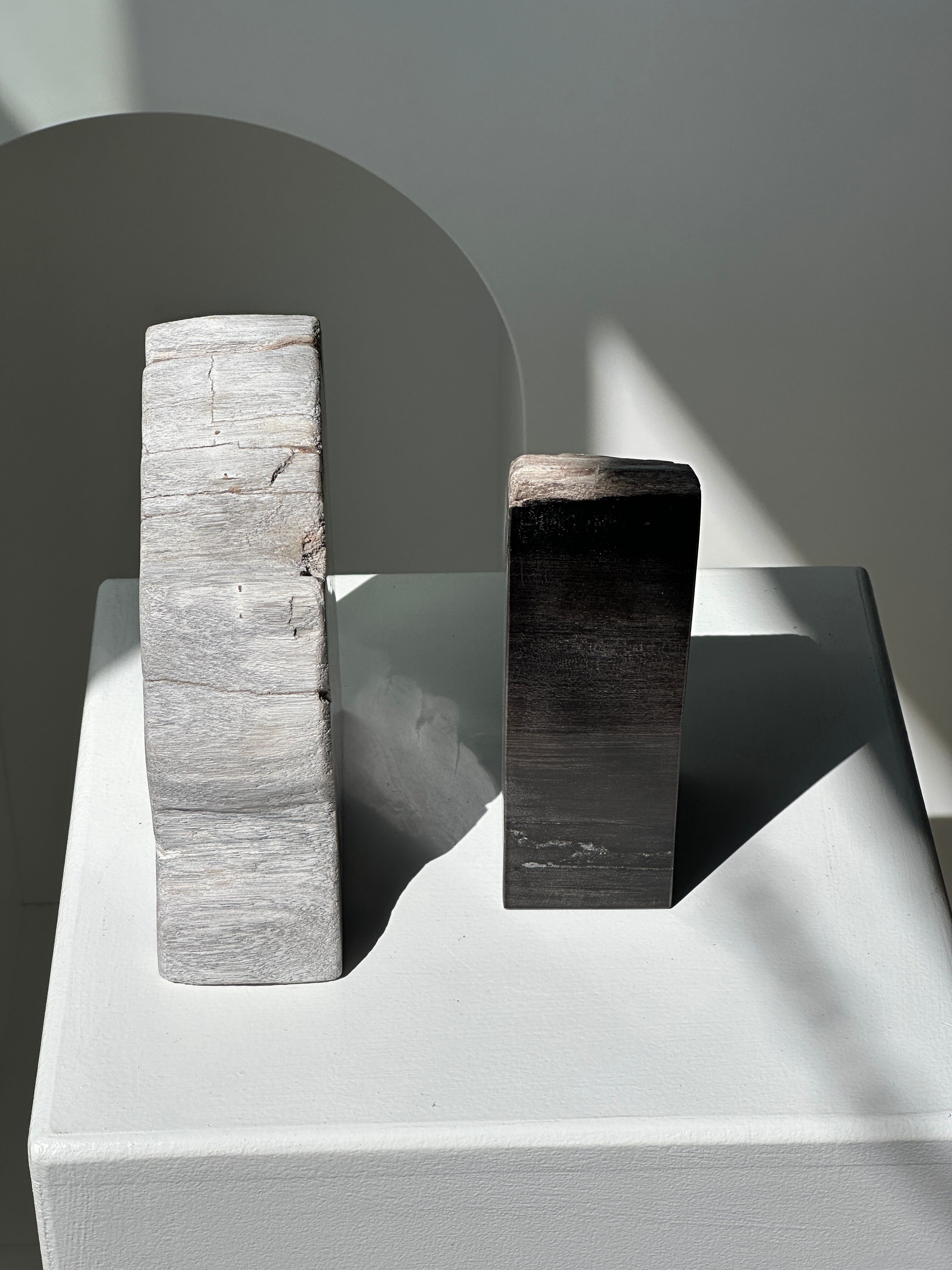 Black petrified wood bookend H17 L17 P6