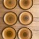 6 assiettes Longchamp motif spirale