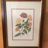 3 petits tableaux, avec les fleurs à l’honneur