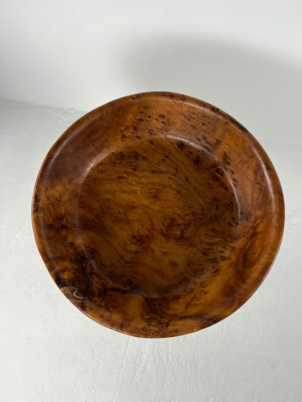 Plat xxl en racine de tuya