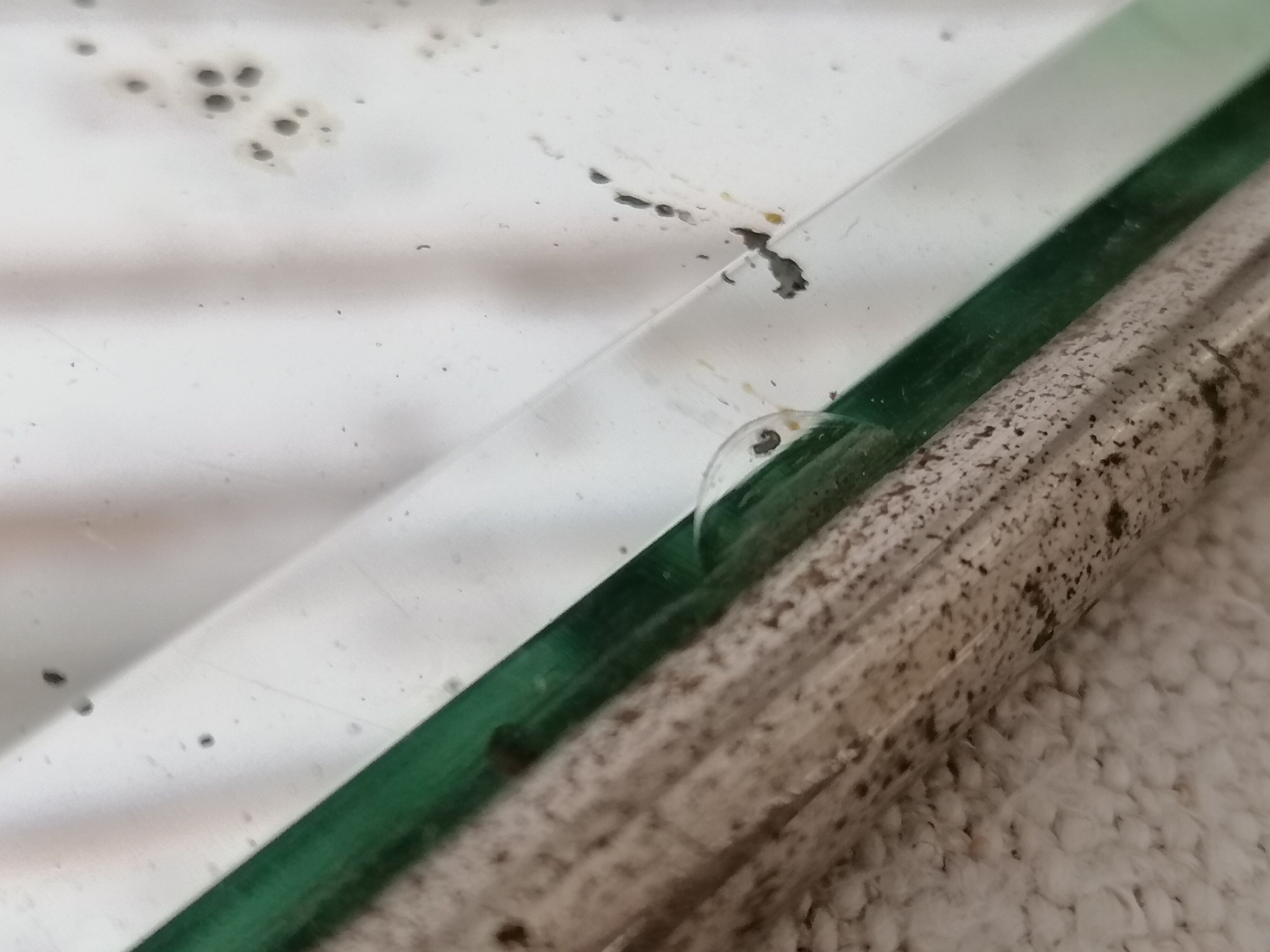 Bevelled barber mirror to hang