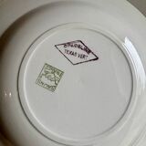 Set of 7 antique deep plates Salins - green Texas -