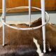 2 tabourets hauts metal simili cuir noir