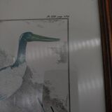 2 framed plates, quail and jabiru, buffon