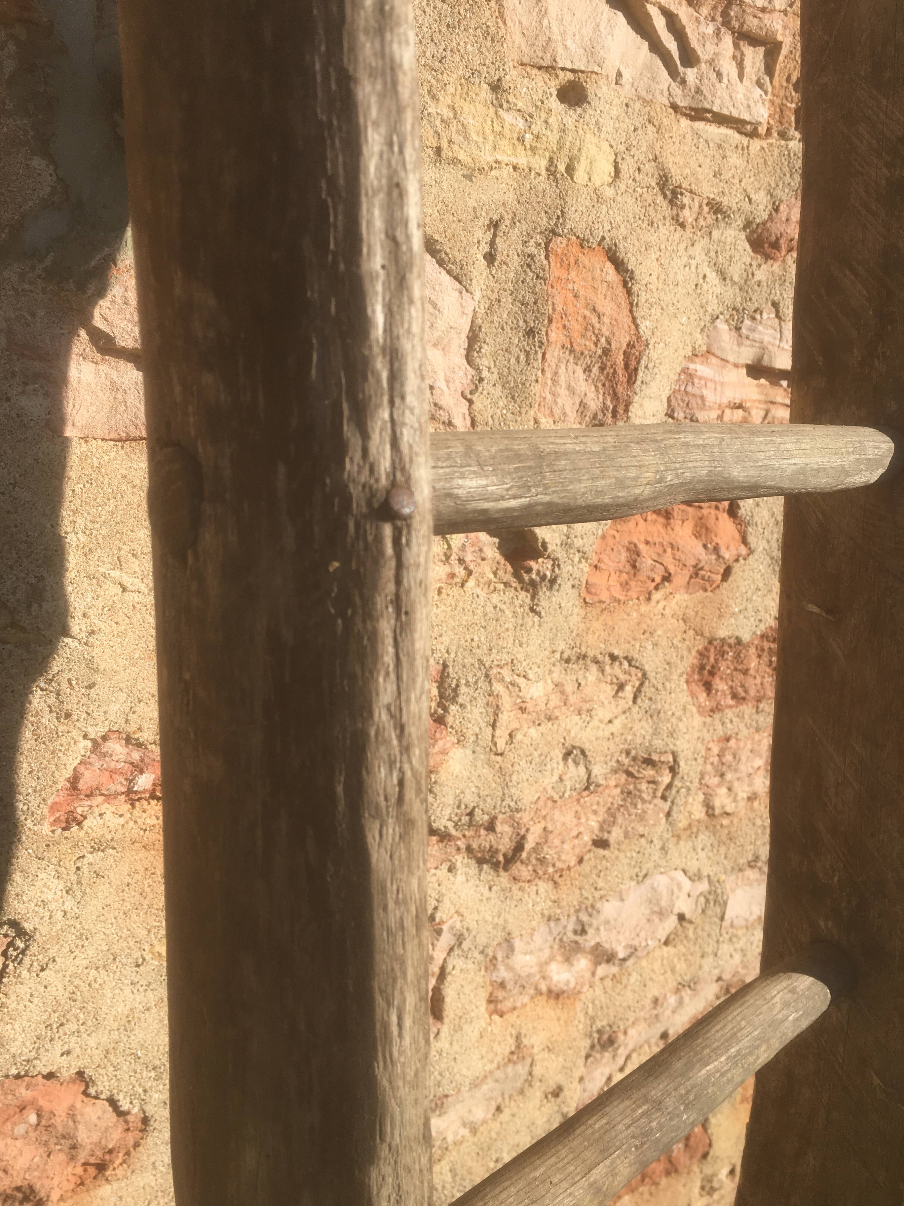 Acacia farm ladder 3/40s