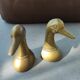 Paire de canards en laiton serre-livres