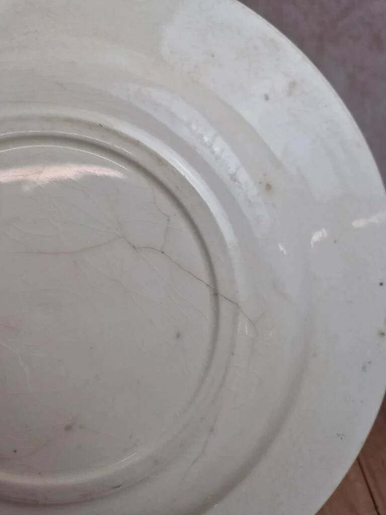 Antique plate Terre de Fer Clairefontaine Marine model