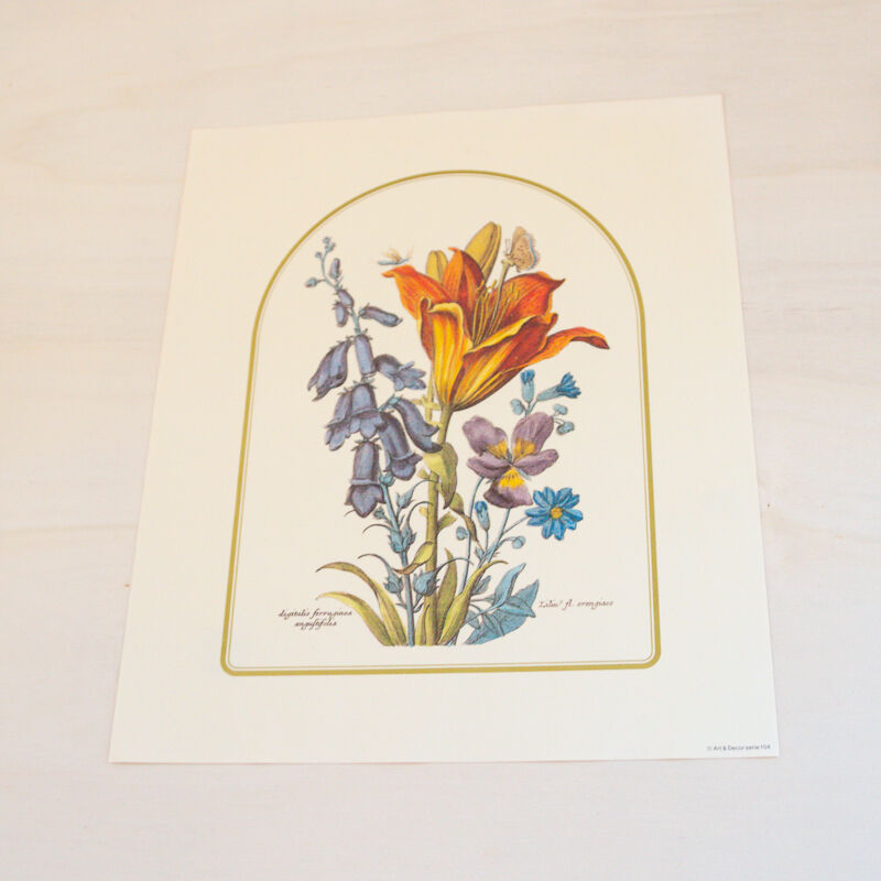 2 botanical plates from art and decor 104 serie 1