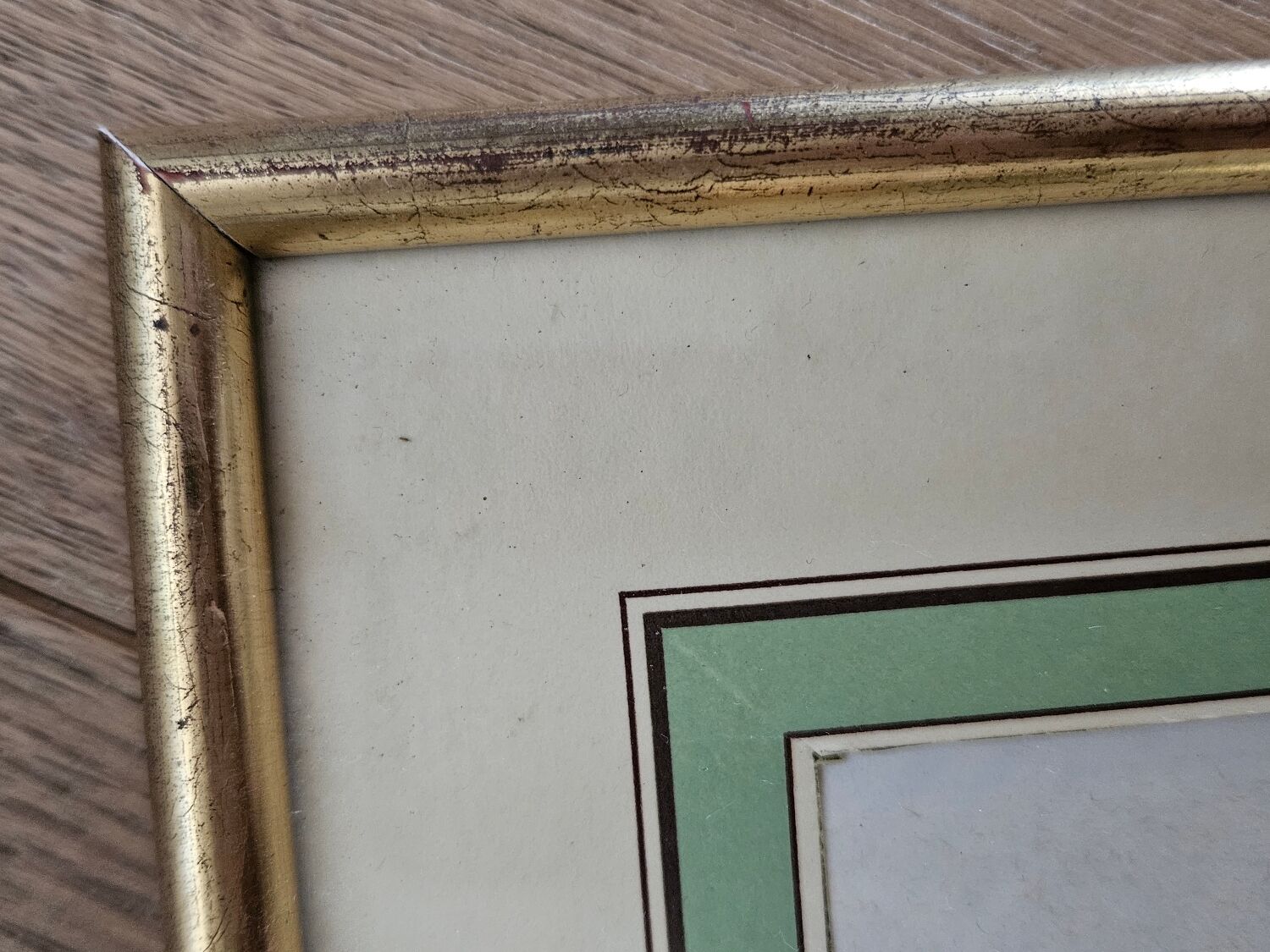 Framed lithograph under glass Rosa Centifolia Foliacea