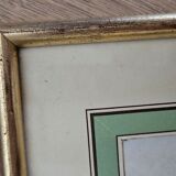 Framed lithograph under glass Rosa Centifolia Foliacea