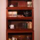 large Globe Wernicke library in mahogany with 5 pieces and a projection