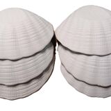 Set of 6 porcelain scallop shells for the oven