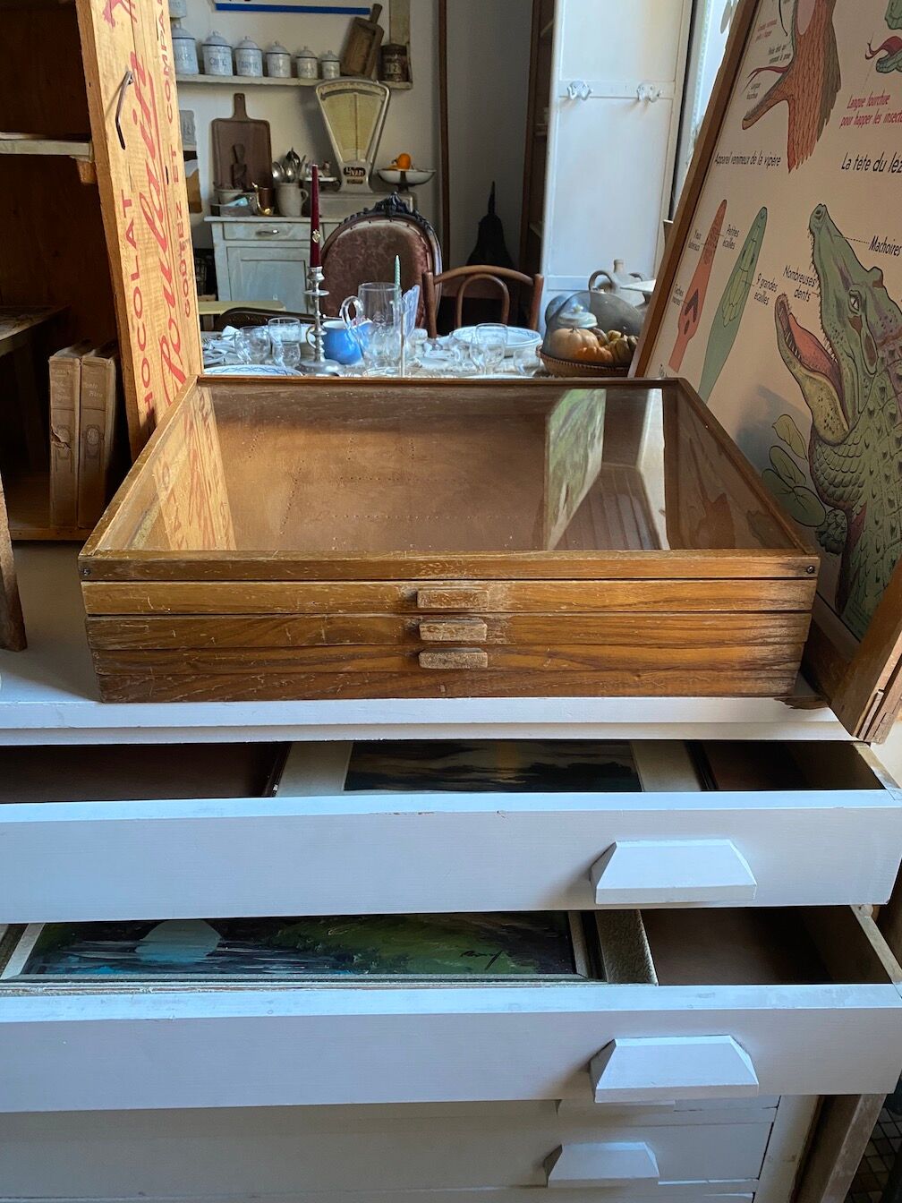 Antique trade showcase