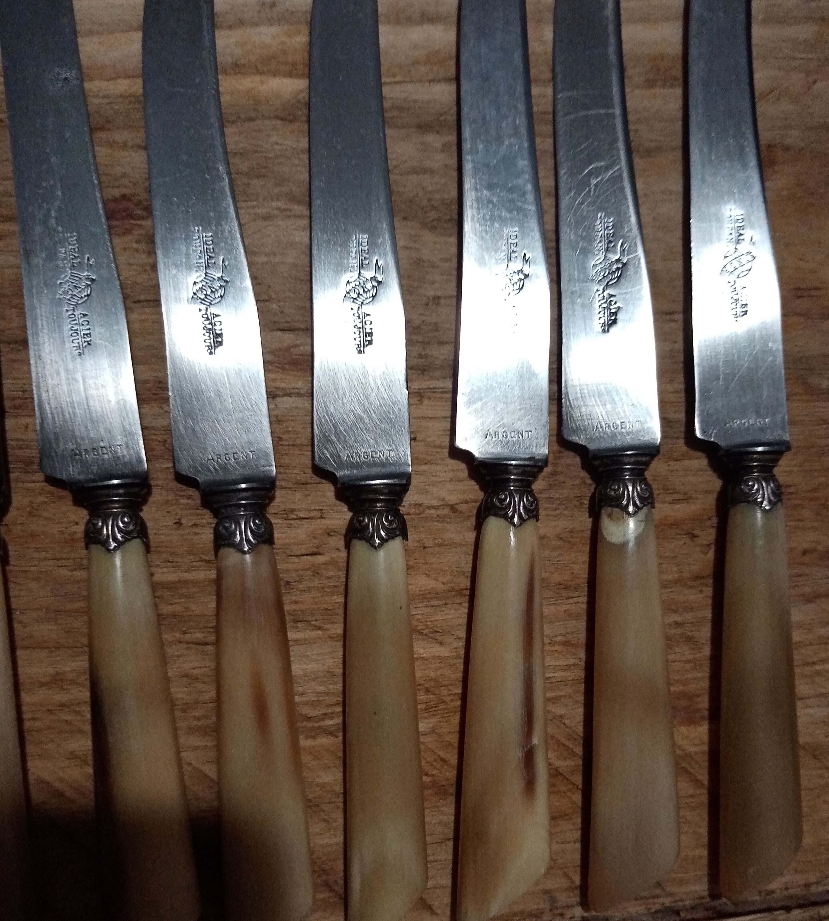 Box 12 old cheese knife 19th blade steel virole silver handle horn