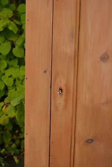 Natural wood cabinet