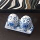 Vintage blue porcelain salt and pepper shakers