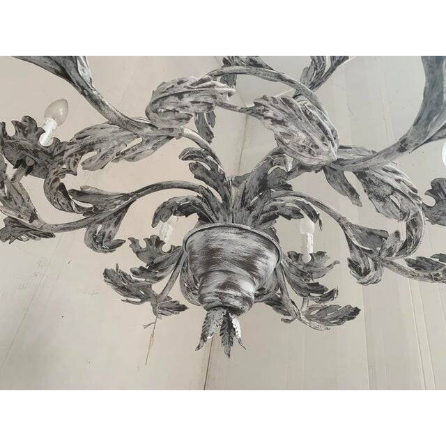 Contemporary brunish-clay florentine wrought iron leafs chandelier
