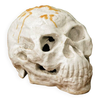 Skull, vanity, in glazed terracotta