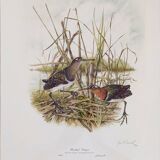 Pair of original lithographs signed in pencil by Gail Denise Darroll