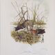 Paire de lithographies originales signées au crayon Gail Denise Darroll