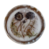 Alice Colonieu dish