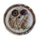 Plat Alice Colonieu