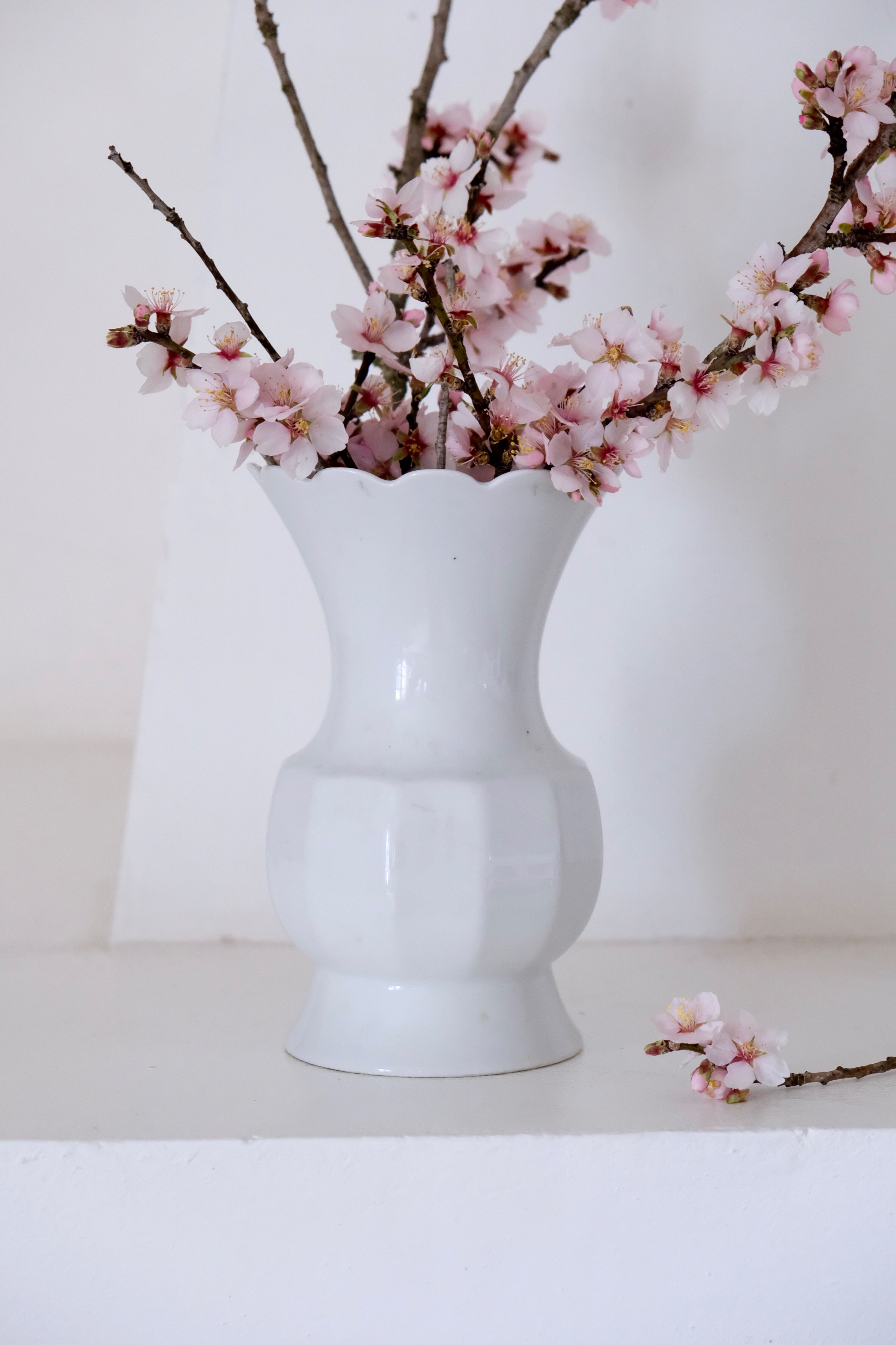 White vase Bareuther Waldsassen 50s