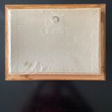 Butterfly framed Attacus Atlas