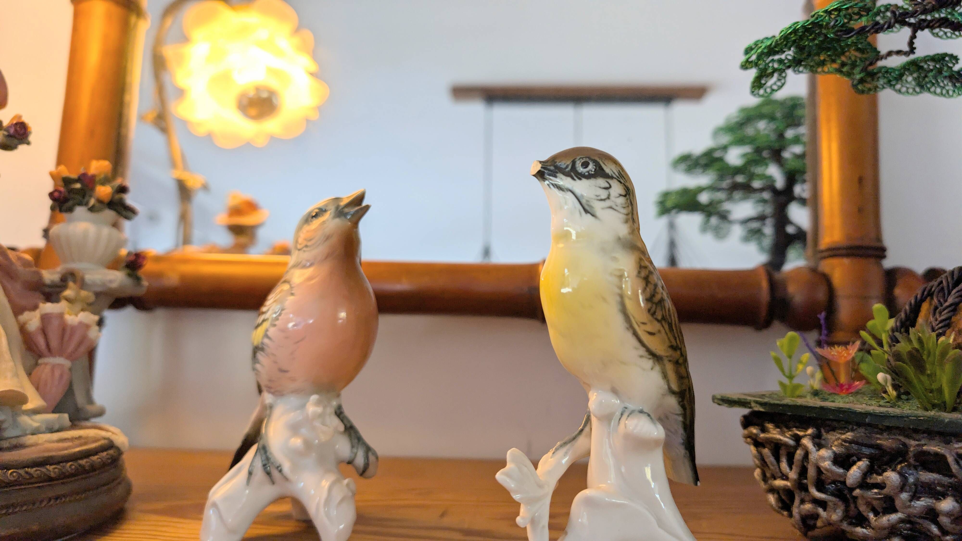 Pair of Karl Ens polychrome porcelain birds from Saxony