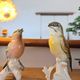 Pair of Karl Ens polychrome porcelain birds from Saxony