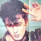 Affiche ancienne vintage concert Bashung 80x120