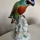 19th century Saxony porcelain parrot signed