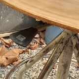BAO workshop chairs