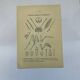 Gravure botanique papillons double face planche naturaliste Eau forte