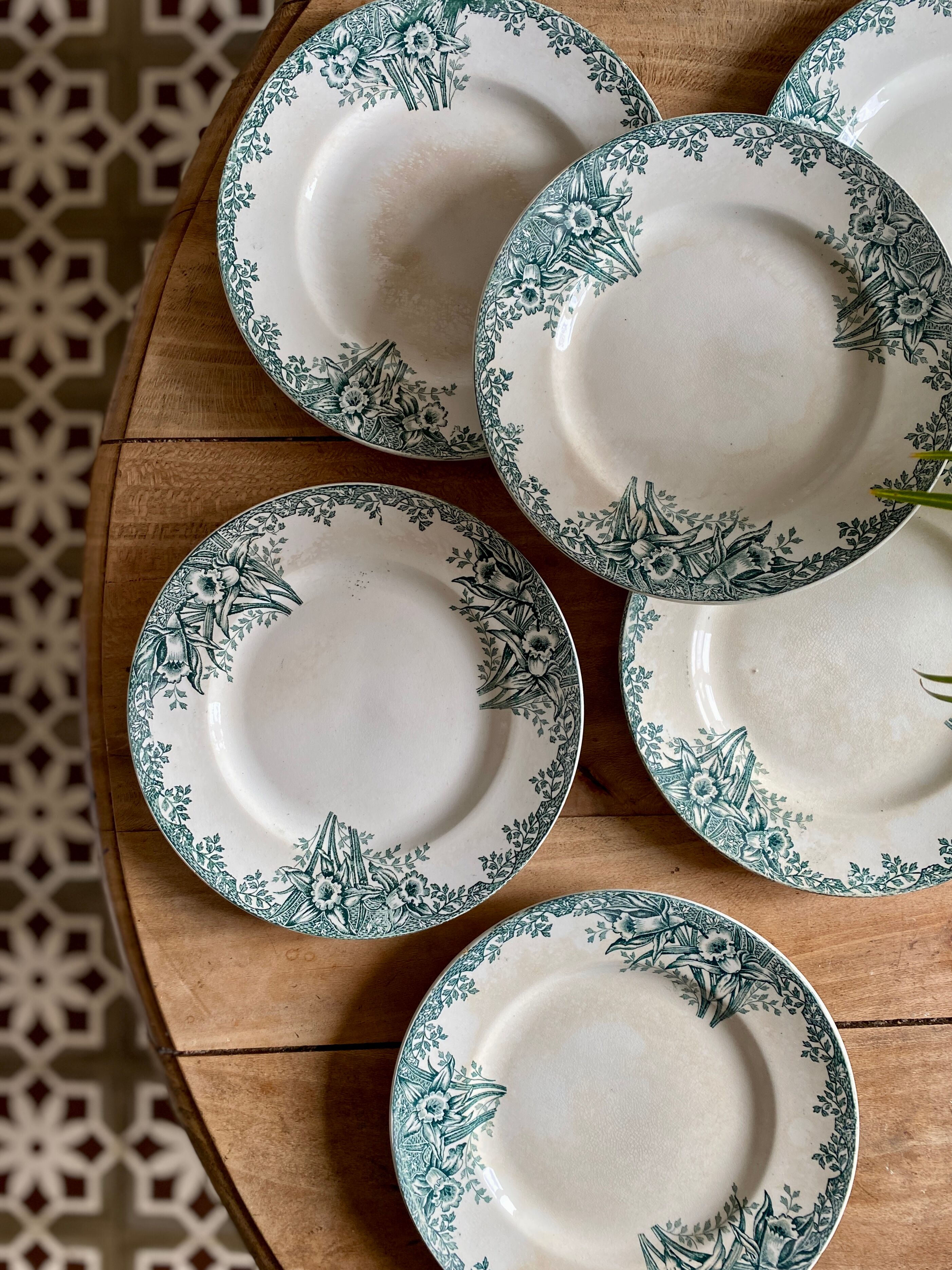 Set of 6 flat plates in iron earth (LOT 5)