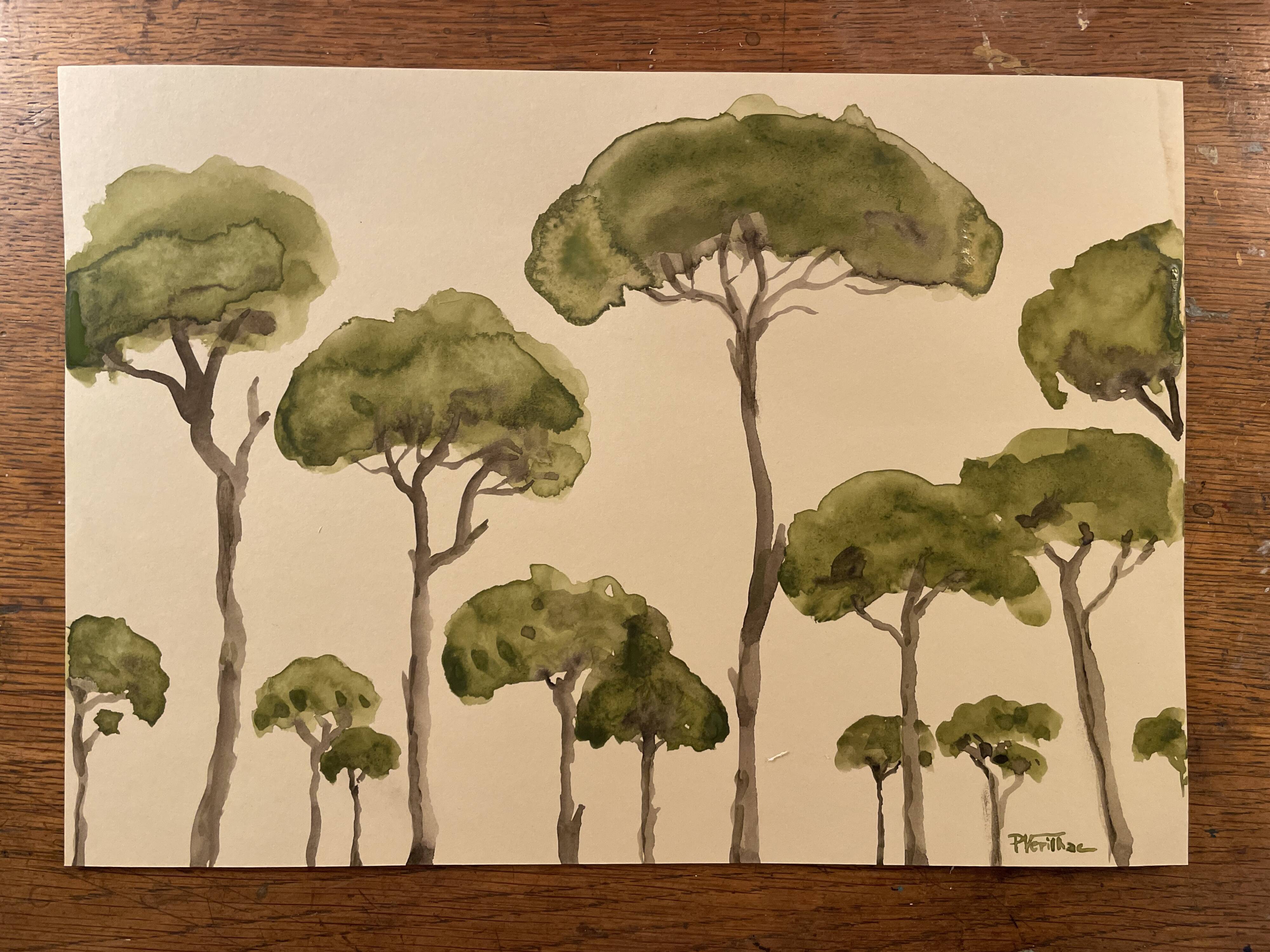 Tableau signé aquarelle « pinède du Lubéron »