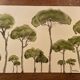Tableau signé aquarelle « pinède du Lubéron »